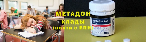 сатива Беломорск